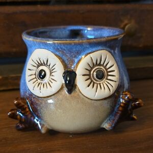 Pacifica Owl Coffe Tea Mug Blue and Brown
